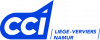 logo ccilvn